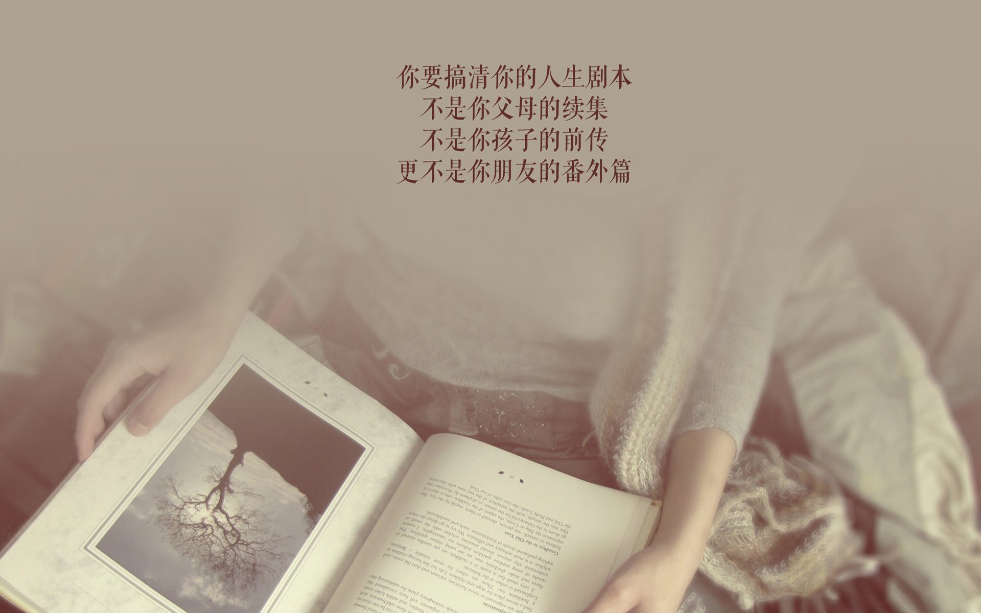 举办国际瑜伽文化交流活动，促进全球合作，国际瑜伽联合会