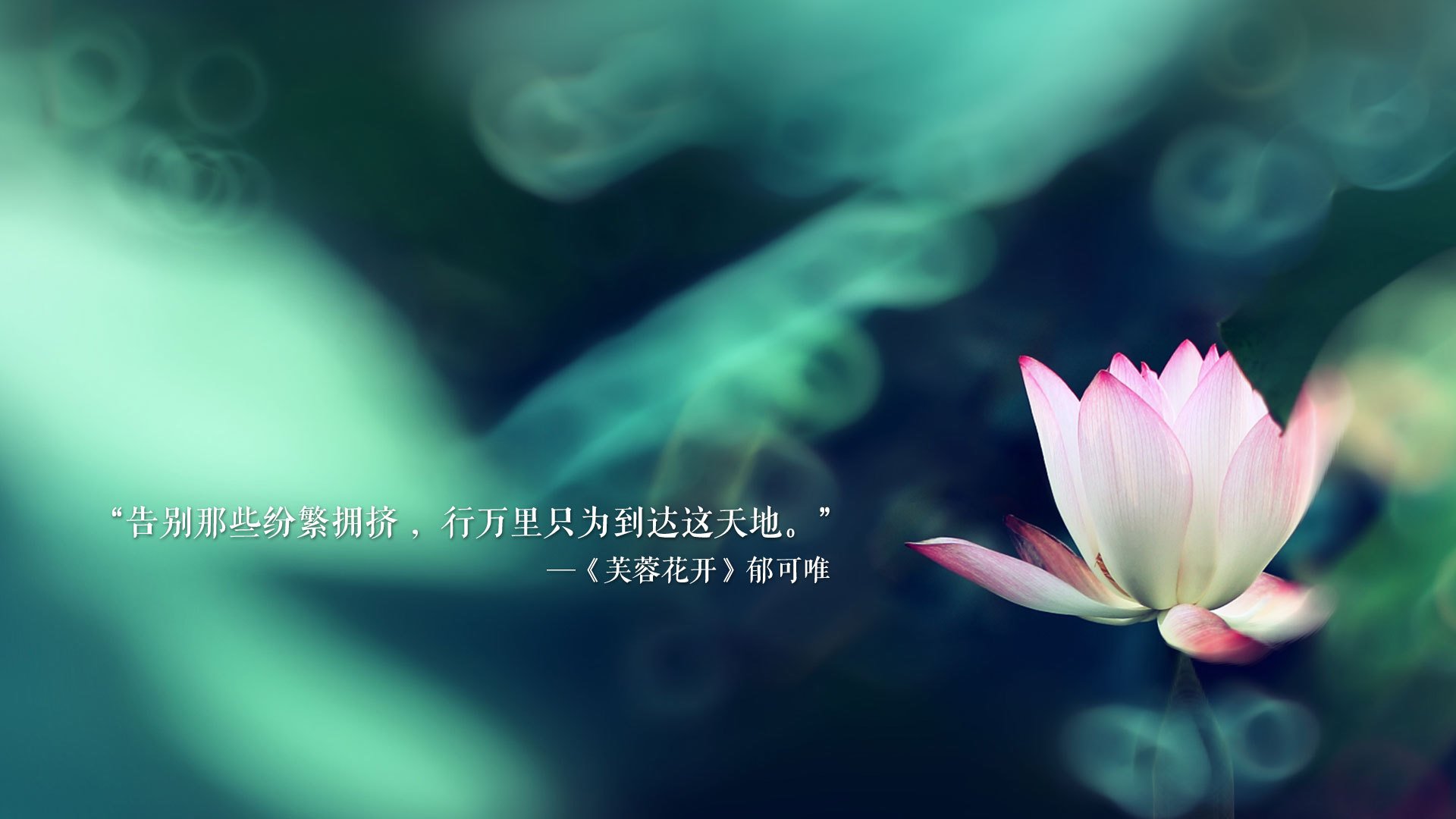 九游官网下载电脑版-美洲队计划举办国内足球训练营，促进交流，美洲足球强队