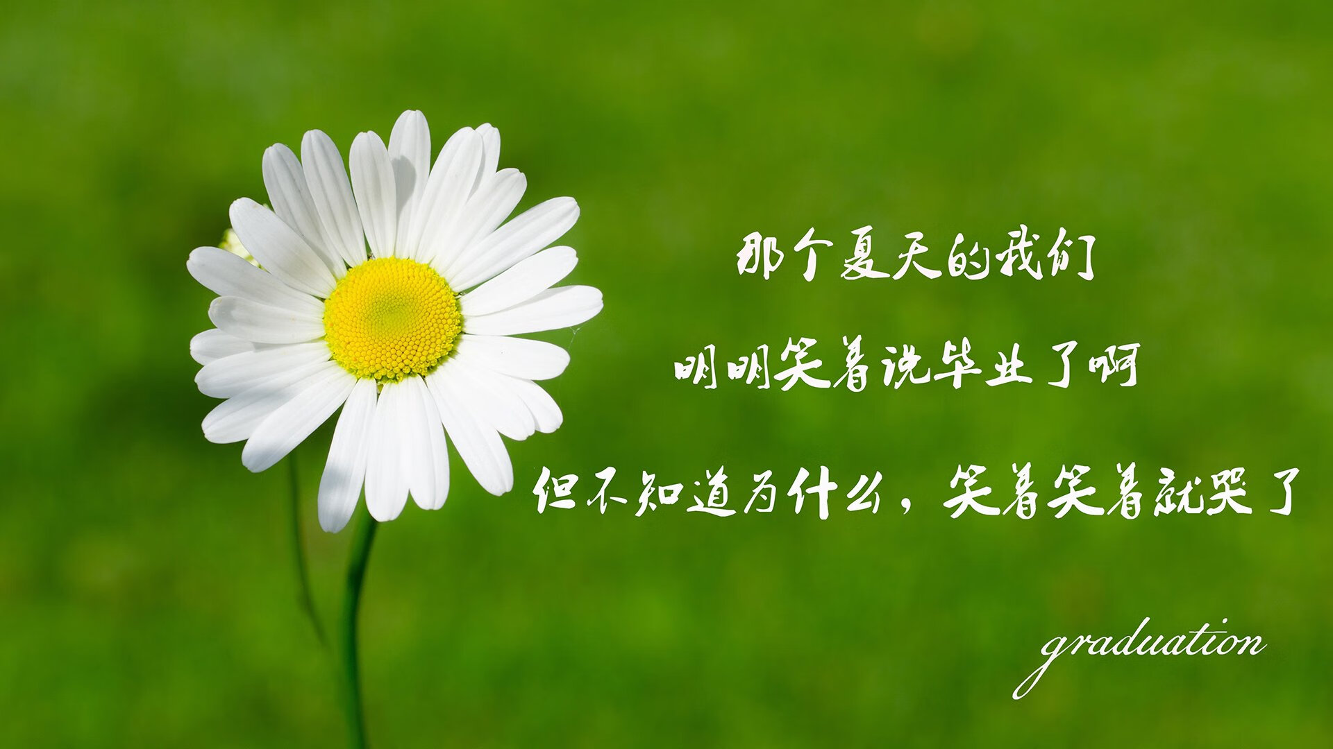 阿尔阿赫利篮板球争夺激烈，阿尔阿赫利足球俱乐部