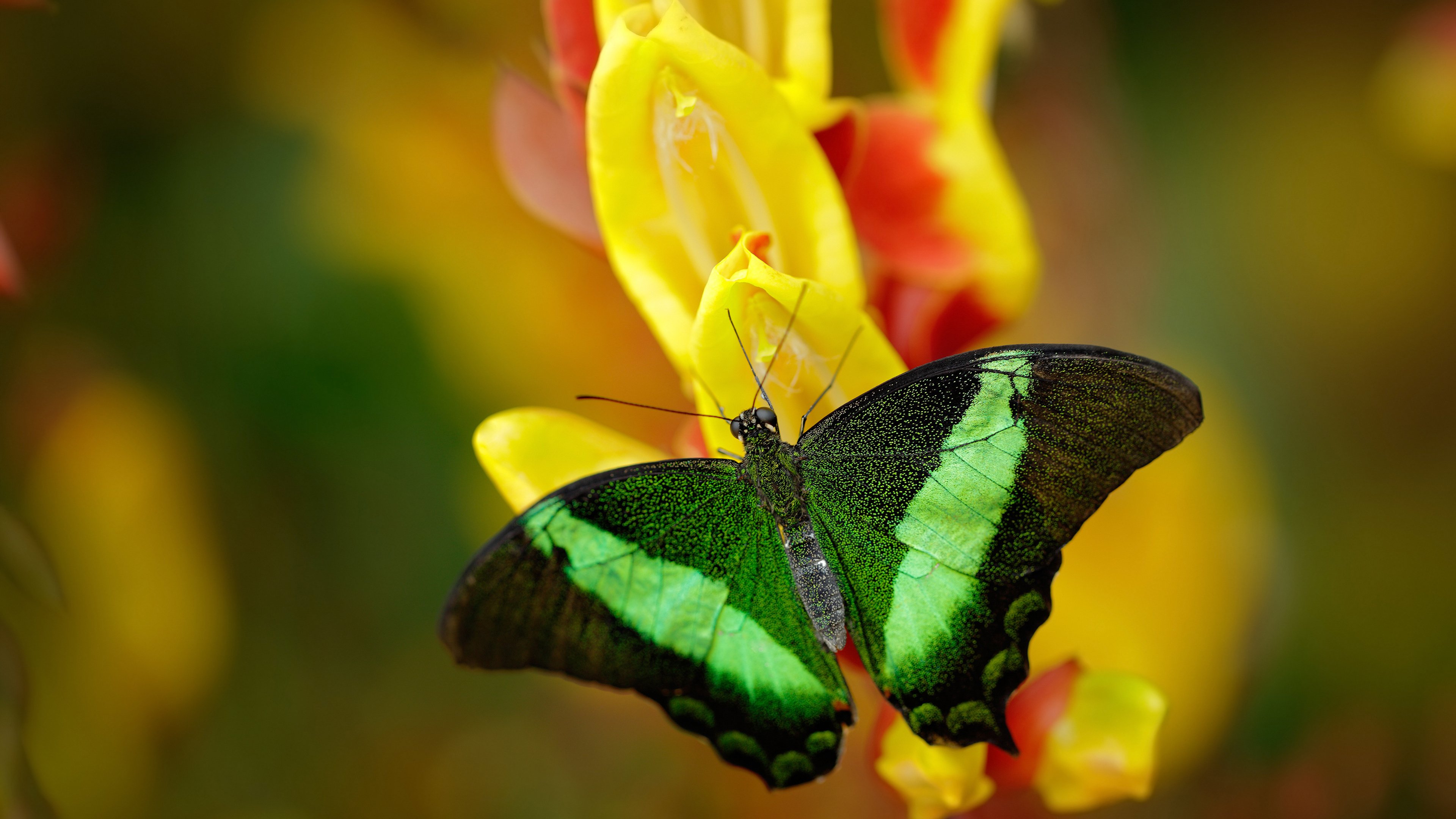 九游娱乐官网 (jiuyou)-NBA球队防守策略对对手控卫限制效果评估，nba以防守著称的球队