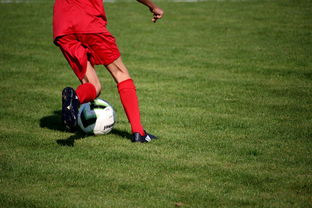 九游娱乐-中国篮球职业联赛俱乐部青训体系建设，全国篮球俱乐部青年联赛