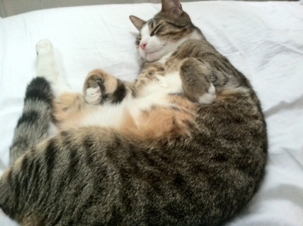 全国青少年足球挑战赛足球氛围火热，2020全国青少年足球联赛