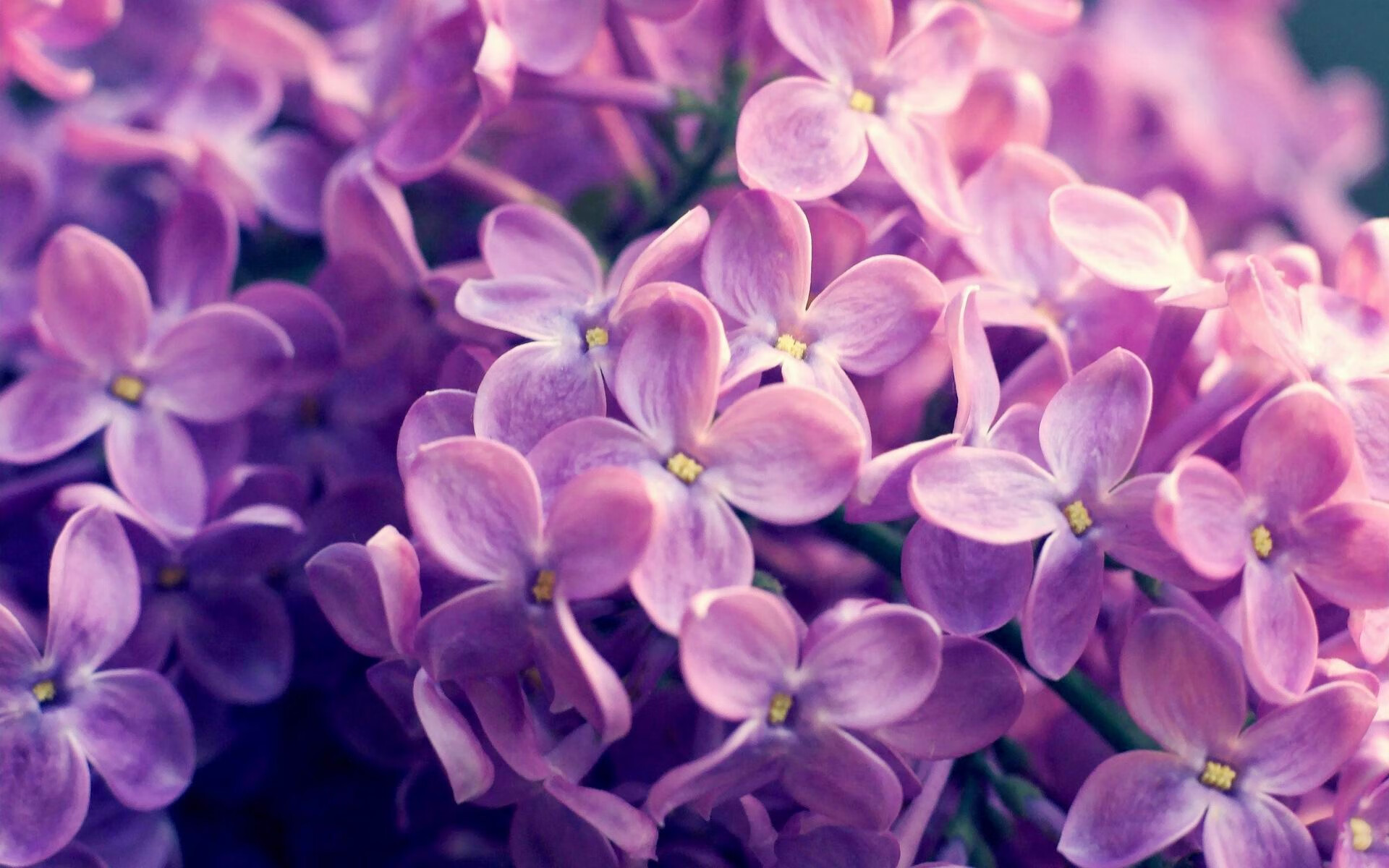 九游电脑版-国足各年龄段梯队建设情况，国足主力年龄