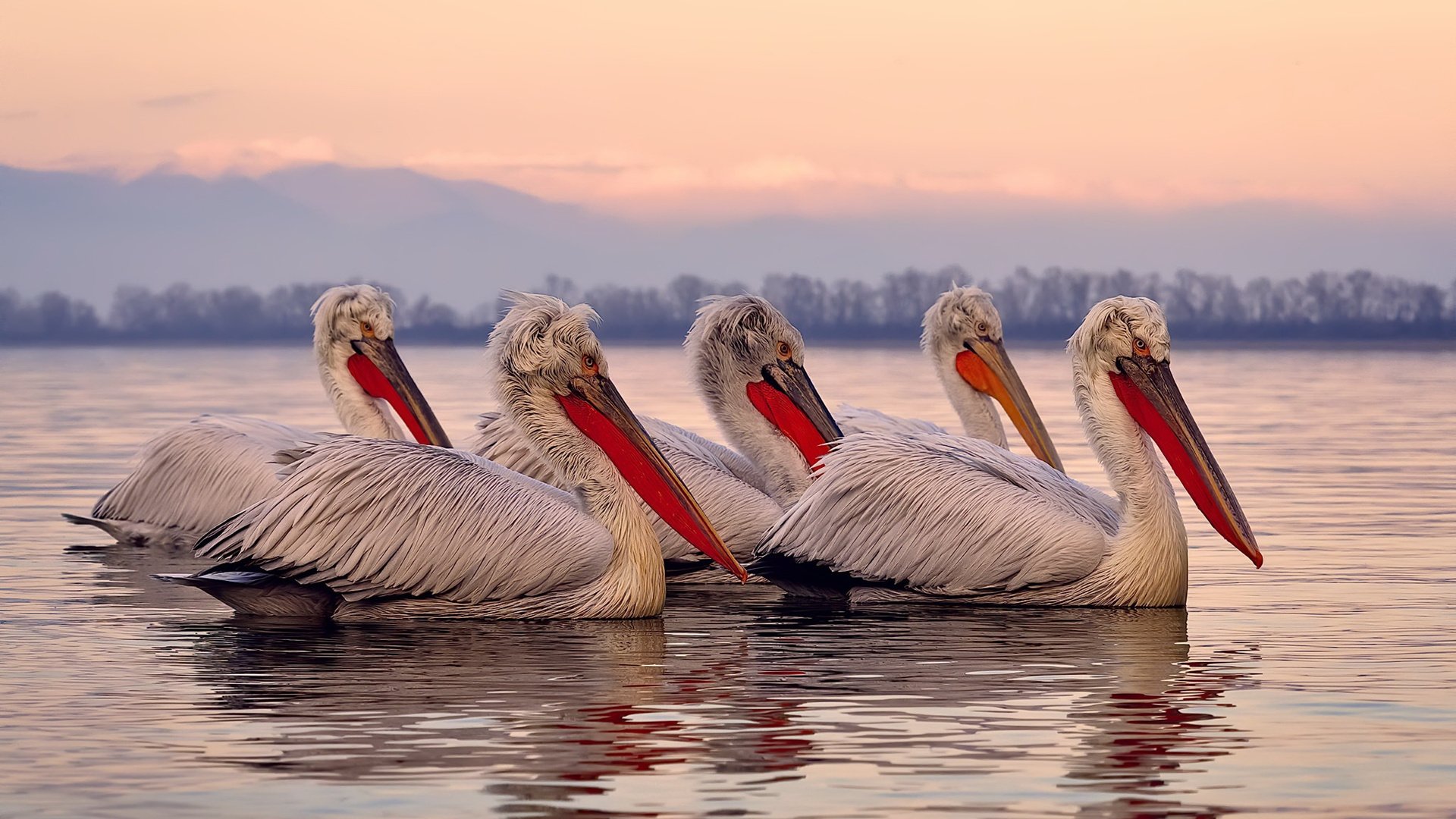 国足比赛下半场得分数据研究,国足下半场惹不起