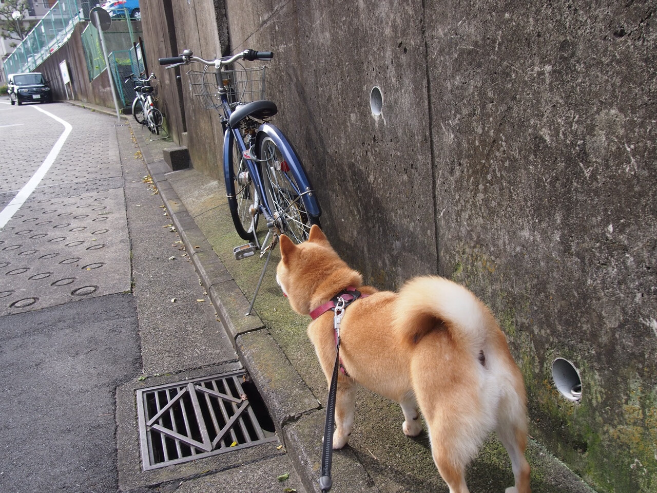 法甲球队采用大数据分析优化边路传中成功率,法甲球队实力定位