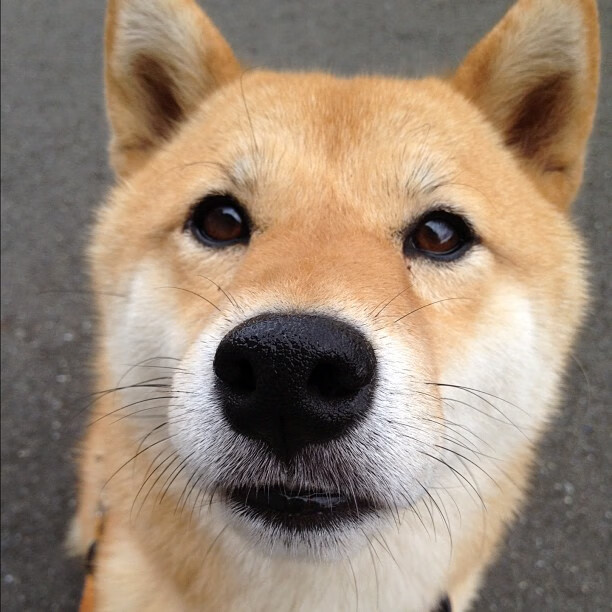 篮球运动员专项体能训练周期化方案的制定与效果评价,篮球运动员体能训练内容