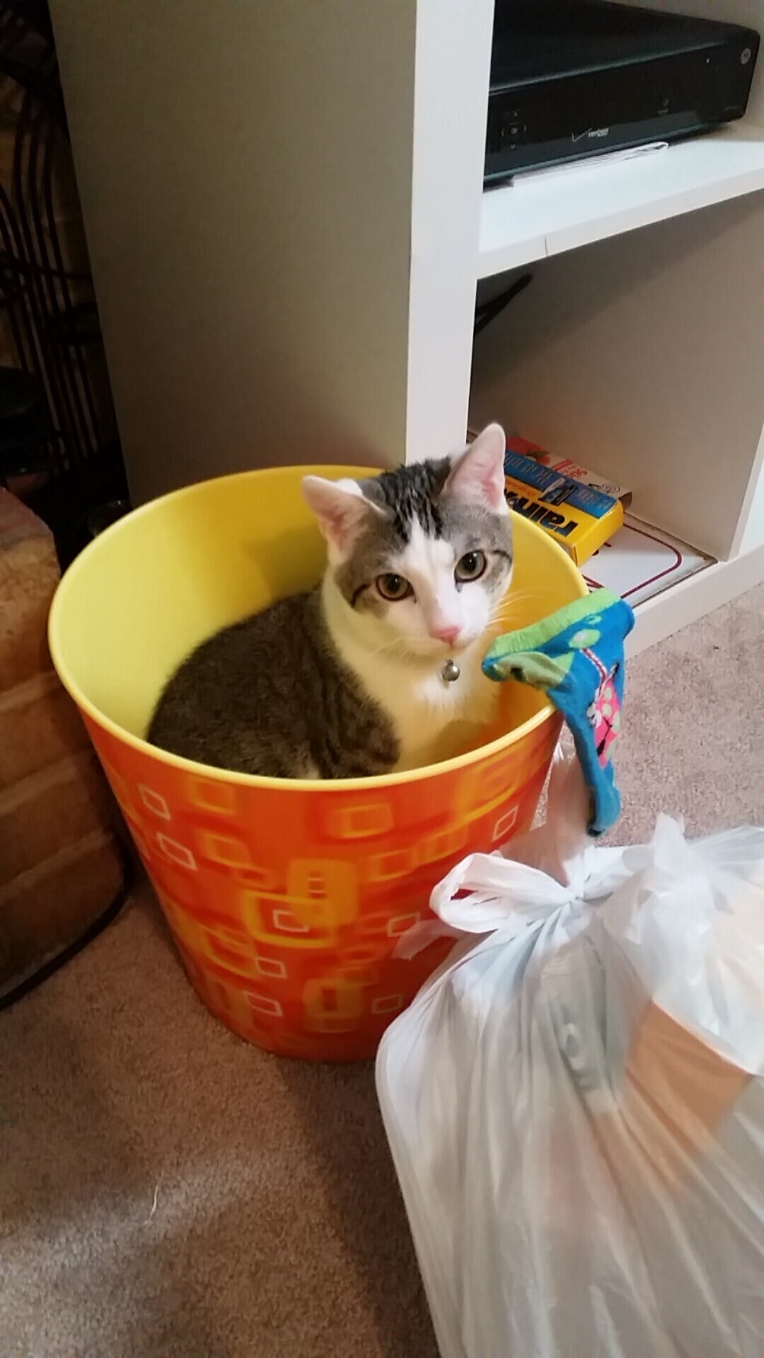 英超青训营引入虚拟现实技术强化战术意识,英超本队青训