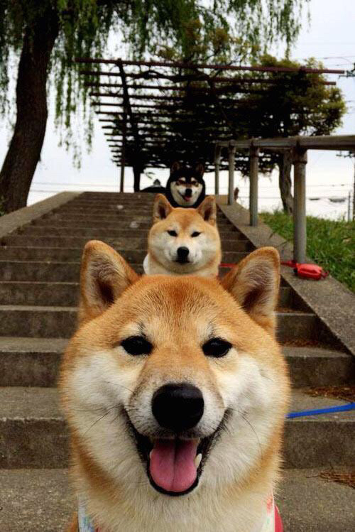 九游登录入口-“运动舞蹈：舞步间的爆发力和灵巧度，金牛区城北体育馆见证精彩时刻”