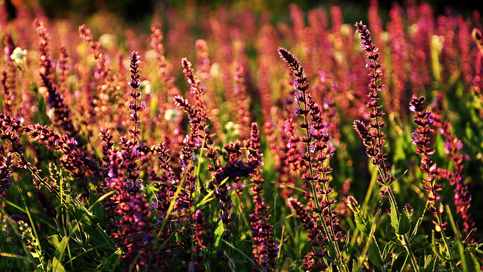 中超联赛国家队战胜 球员精神面貌焕然一新,中超 足球队