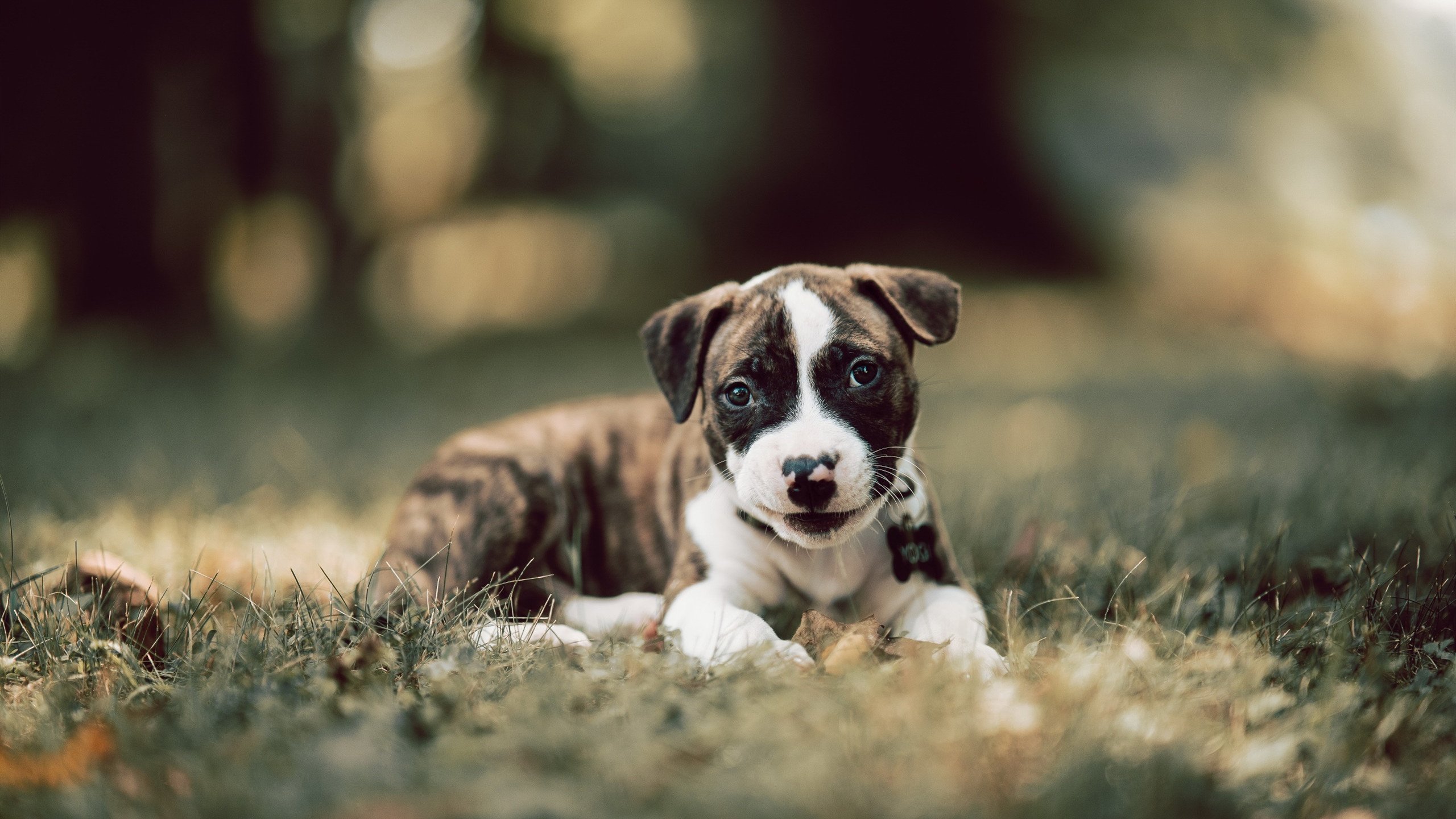 九游（jiuyou.com）游戏-教练组强调重建团队信任，教练组强调重建团队信任的句子