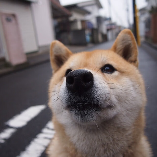 世界杯惊天逆转：坚持到底，梦想成真，世界杯瞬间
