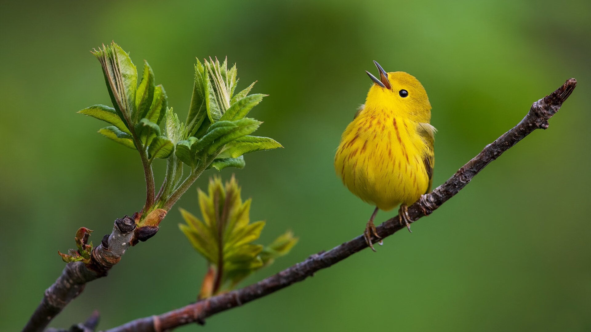 九游用户空间-体育新闻中心发布冬季项目国家集训队轮换名单，国家队冬季训练服