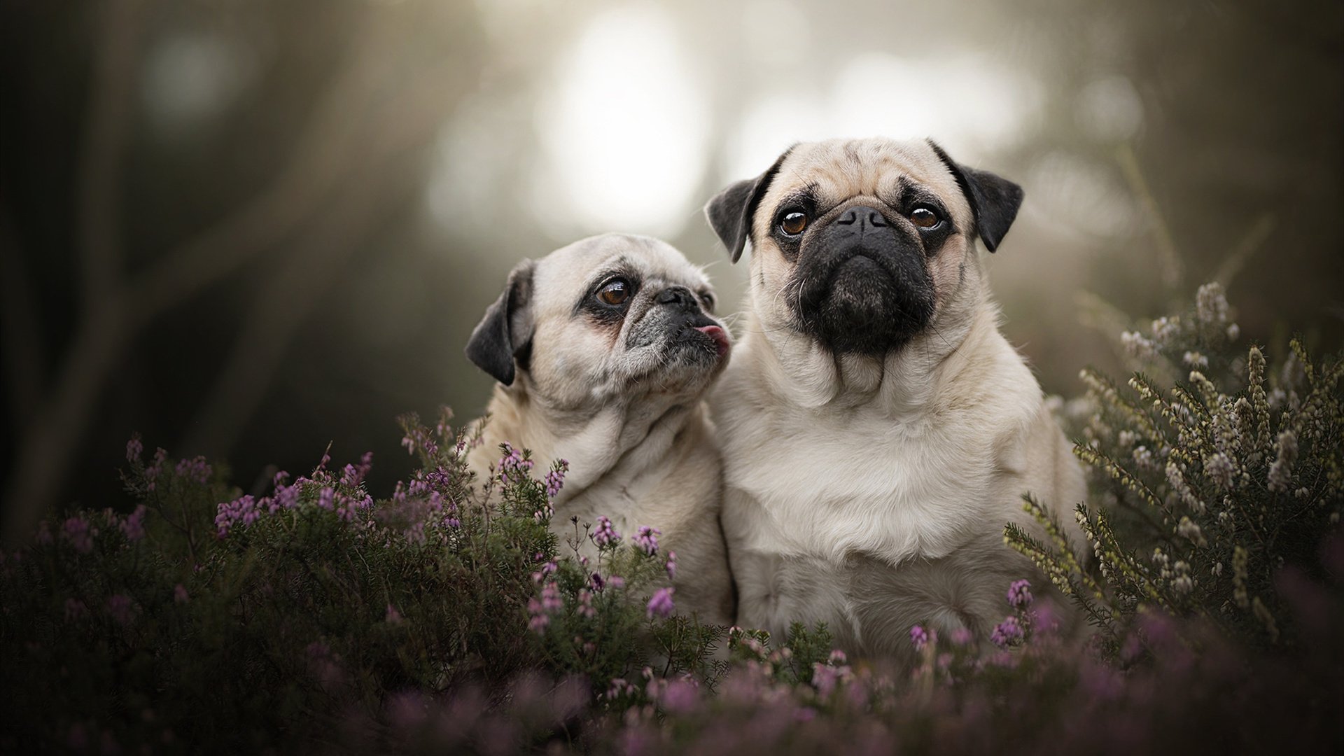 克莱尔·柯尔赞展现坚定比赛心态，克莱尔jmb