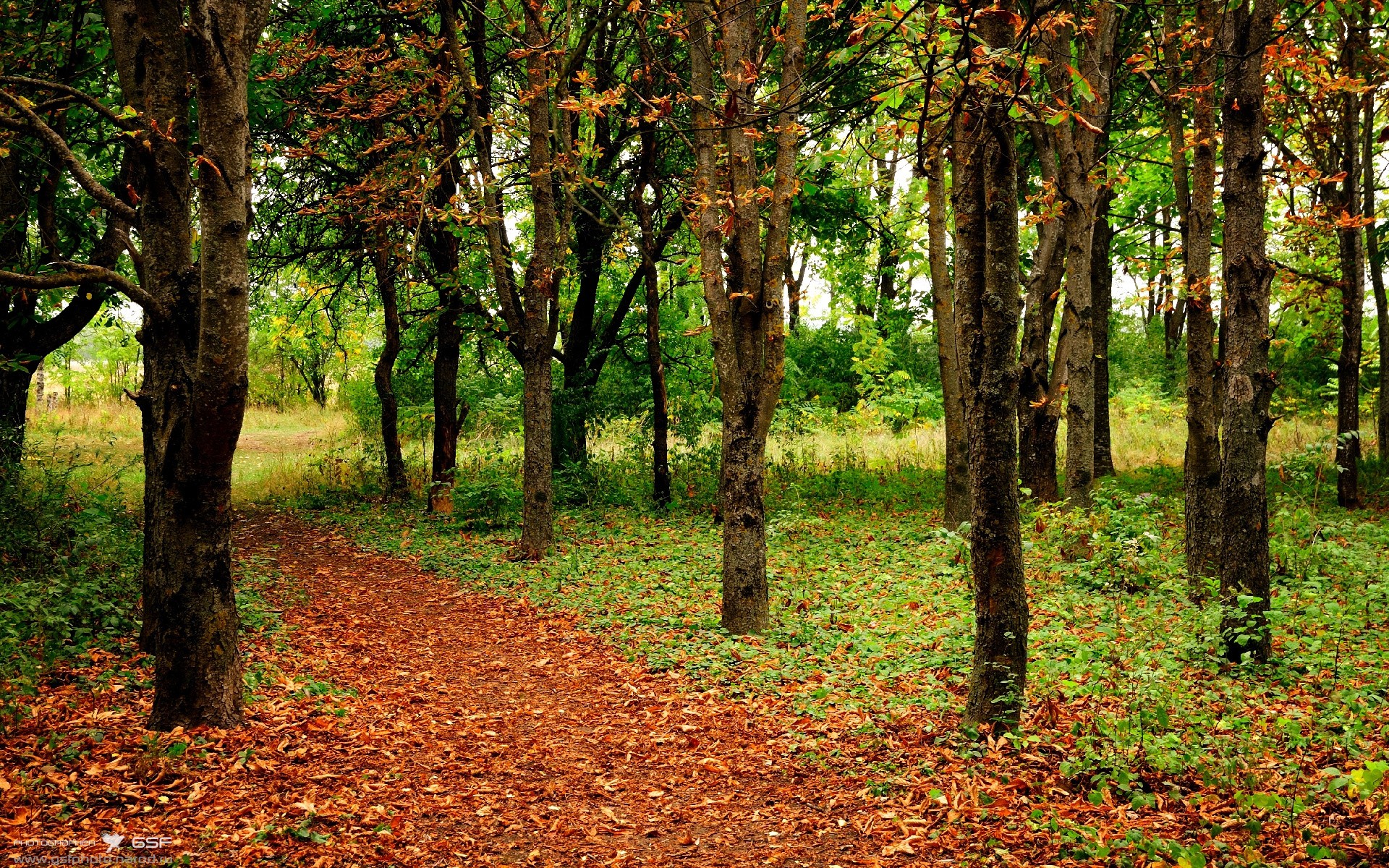 九游网页版入口-南非橄榄球崛起：年轻力量推动新一轮巅峰，南非 橄榄球