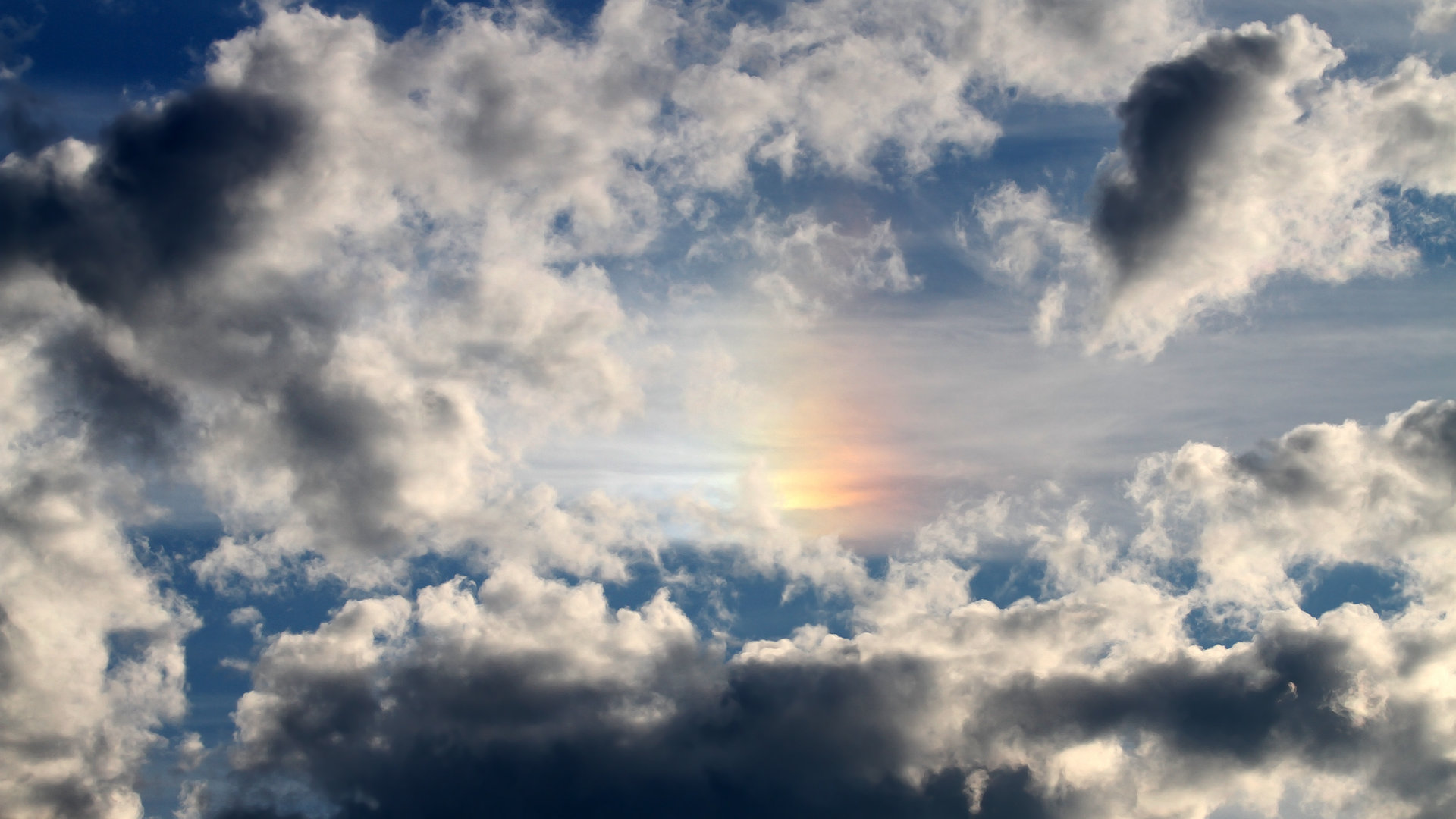 JIUYOU GAMING-喀麦隆男篮在非洲锦标赛中再次夺冠，体育实力不断攀升，喀麦隆男篮进奥运会了吗