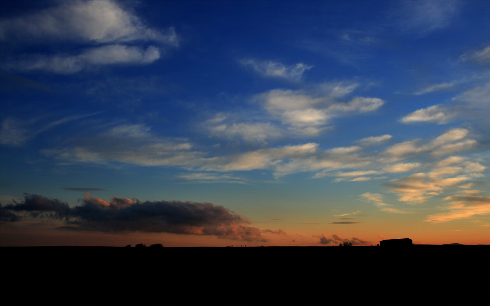 独行侠球员与教练沟通频繁主动调整训练计划，独行侠教练为什么辞职